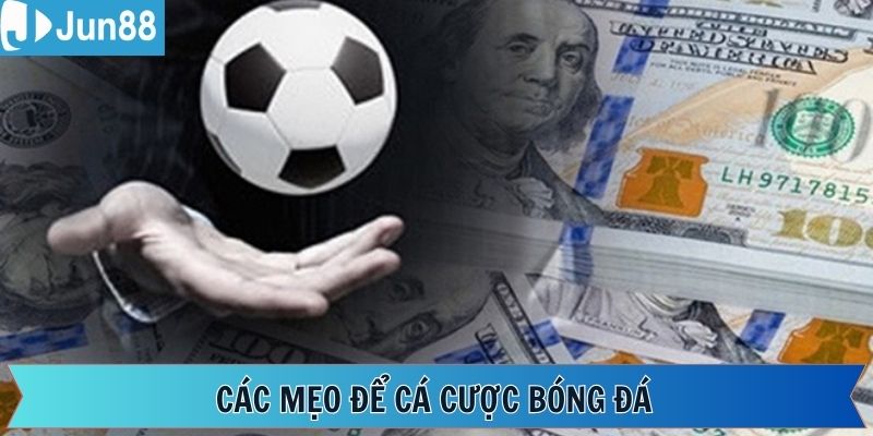 Kinh nghiệm nên áp dụng khi cá cược trên Jun88 