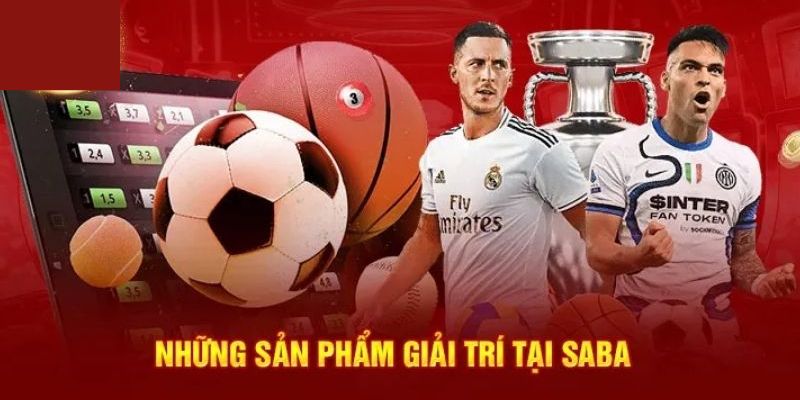 Khám phá các môn thể thao nổi bật
