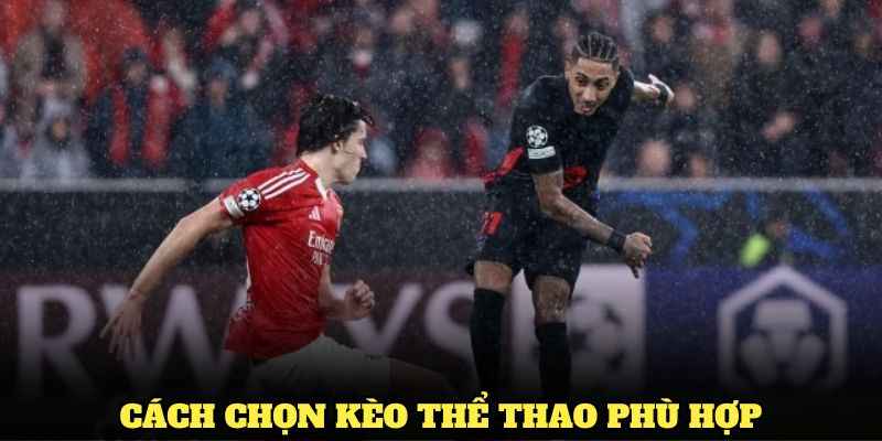 Bạn đã biết cách chọn kèo thể thao phù hợp tại Jun88 chưa?