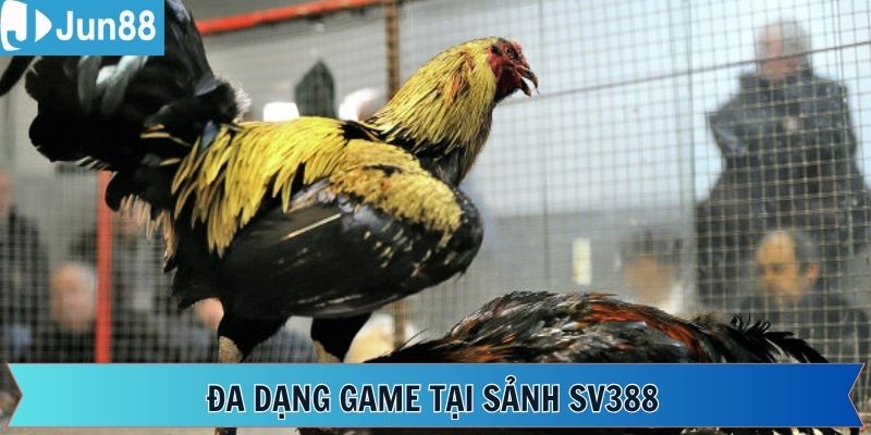 Bật mí những sảnh cược được yêu thích nhất tại SV388