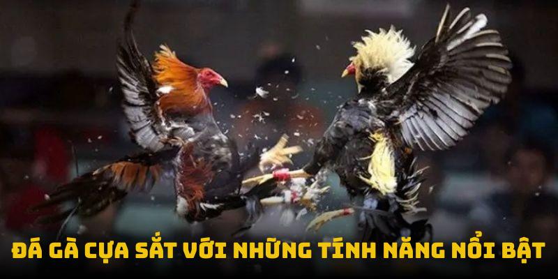 Đá gà cựa sắt với những tính năng nổi bật