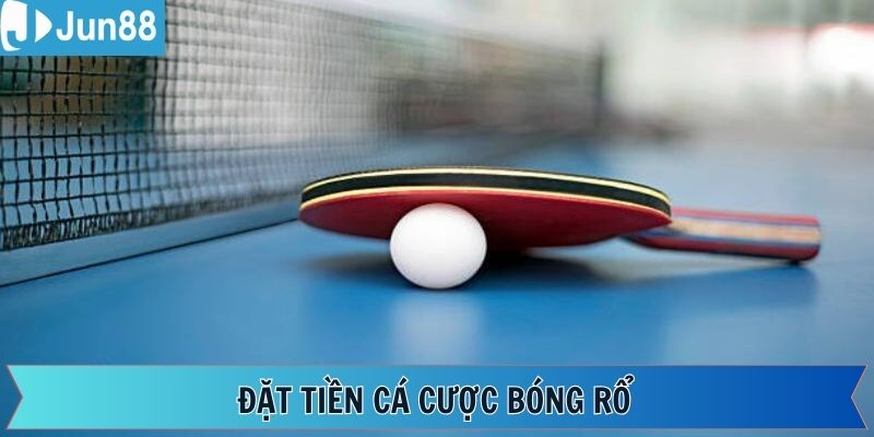 Đặt tiền vào kèo chấp trong cá cược bóng bàn