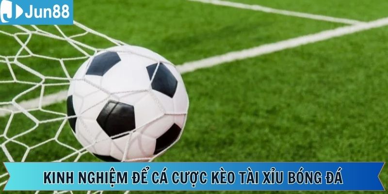 Chia sẻ một số bí quyết để tận dụng kèo tài xỉu bóng đá tối ưu