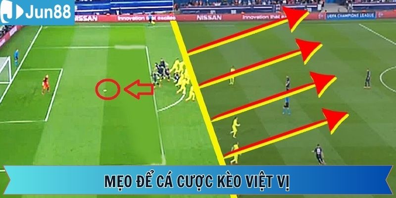 Một số bí quyết cá cược hiệu quả, rinh thưởng bất ngờ