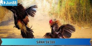 SV388 - Điểm Đến Giải Trí Trực Tuyến Chất Lượng Và Uy Tín