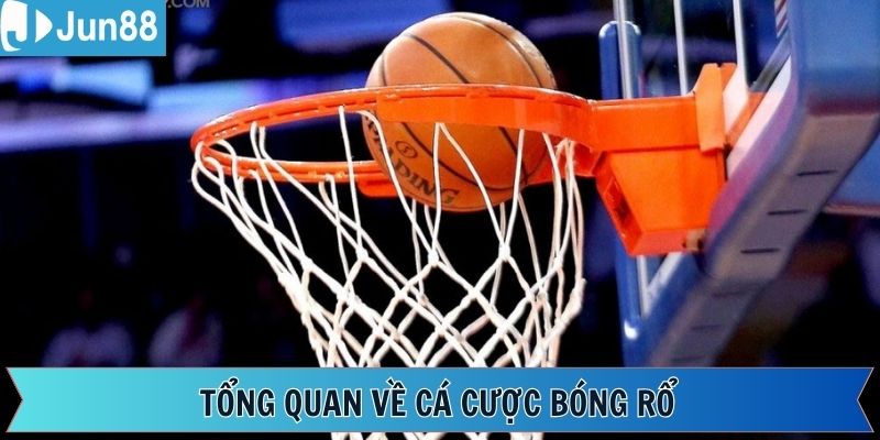 Tổng quan về sức hút giải trí đặc biệt tại cá cược bóng rổ