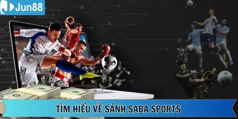 Mọi khía cạnh đỉnh cao của không gian thể thao Saba