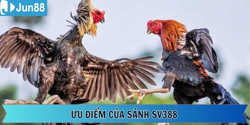 Địa chỉ cá cược sở hữu nhiều đặc điểm vượt trội